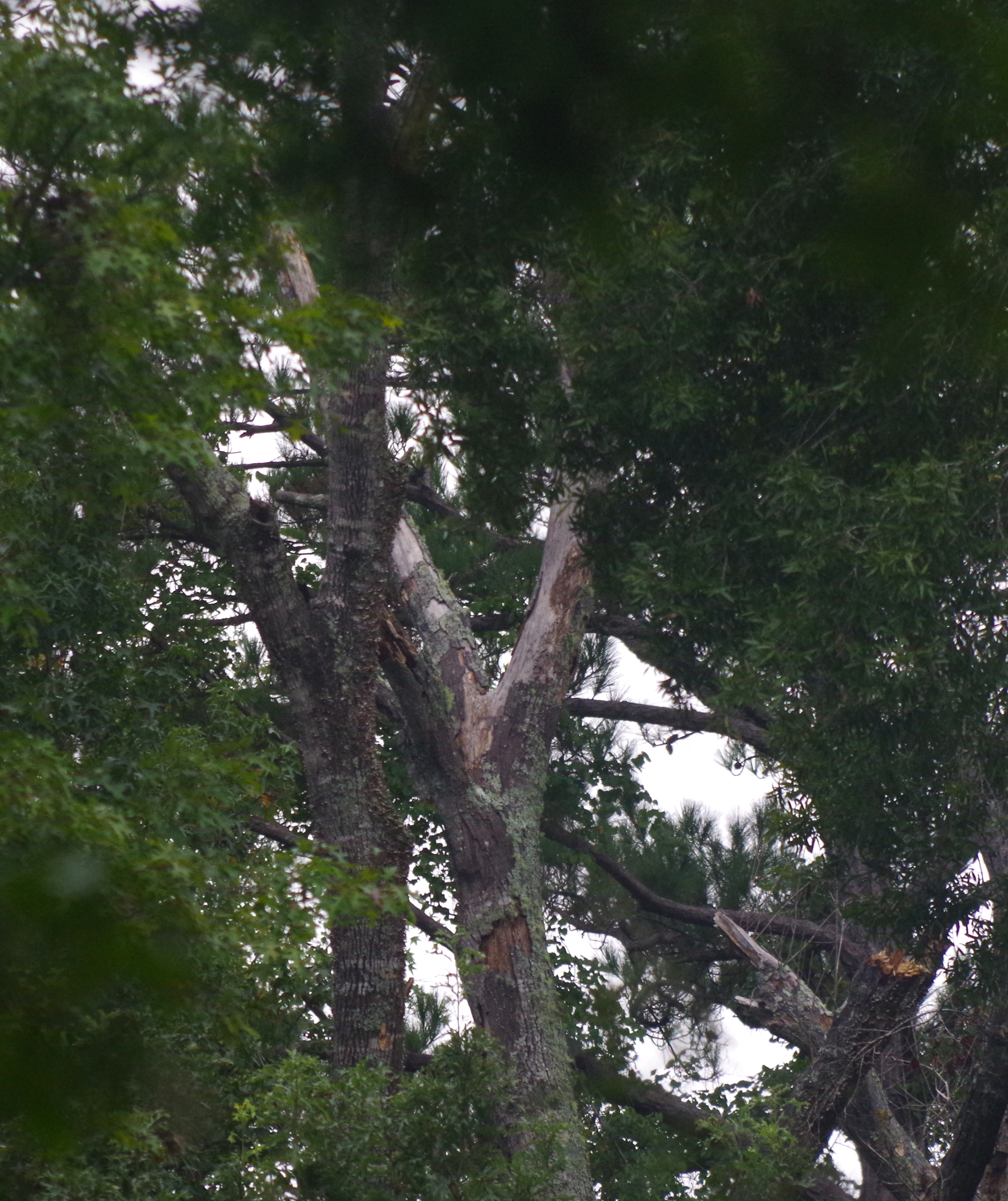 10:13 Fig. 6