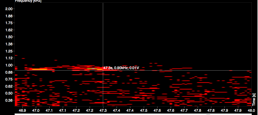 Sonogram-1 copy